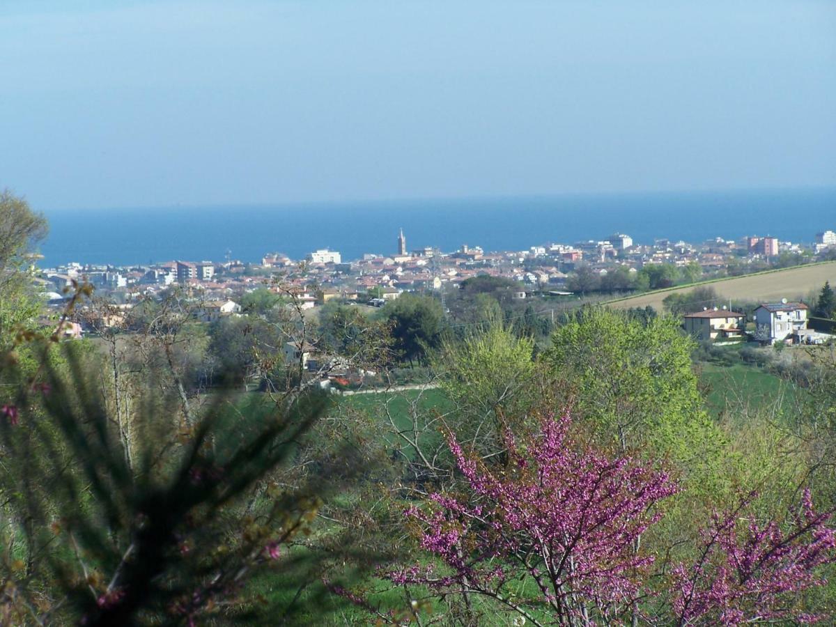 Villetta Le Rose Tavullia Exterior photo